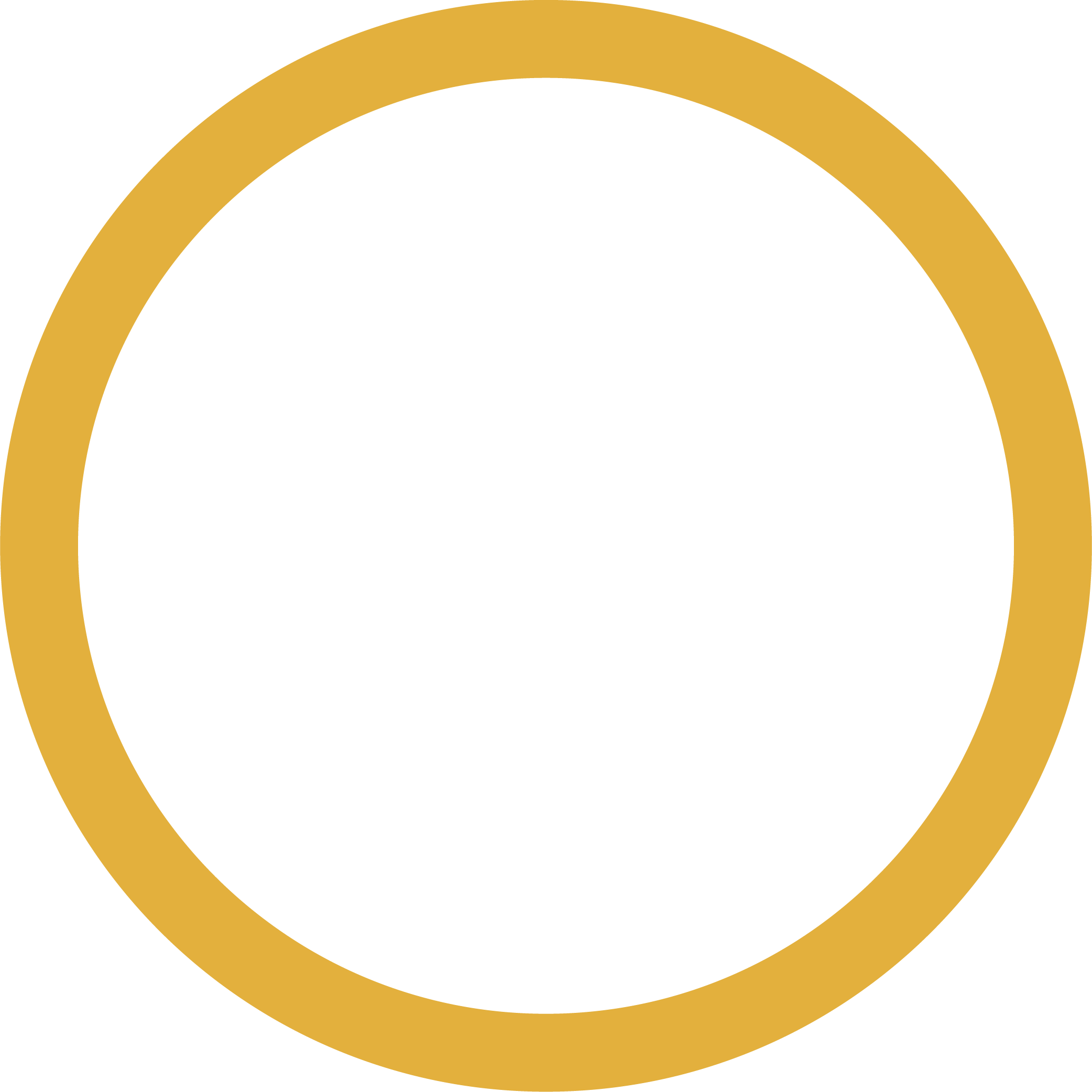 Icon of a Lightbulb Denoting the Realization Phase of Our Brand Building Methodology