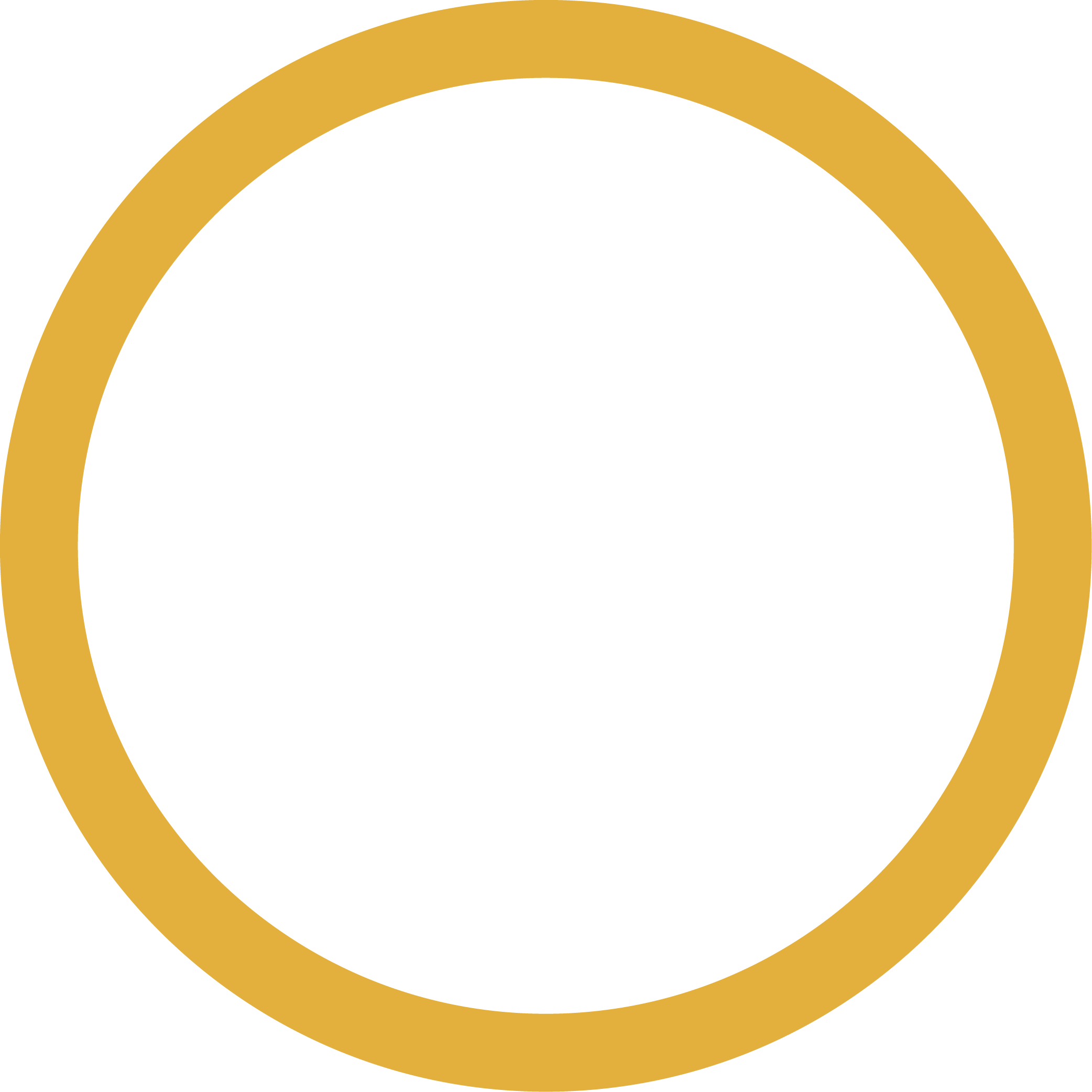 Icon of a Magnifying Glass Denoting the Investigation Phase of Our Brand Building Methodology